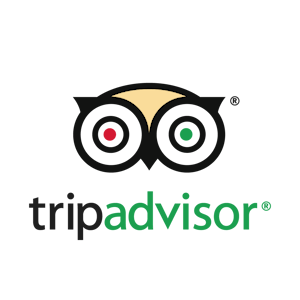 TravelBuzz manages your listing on Tripadvisor